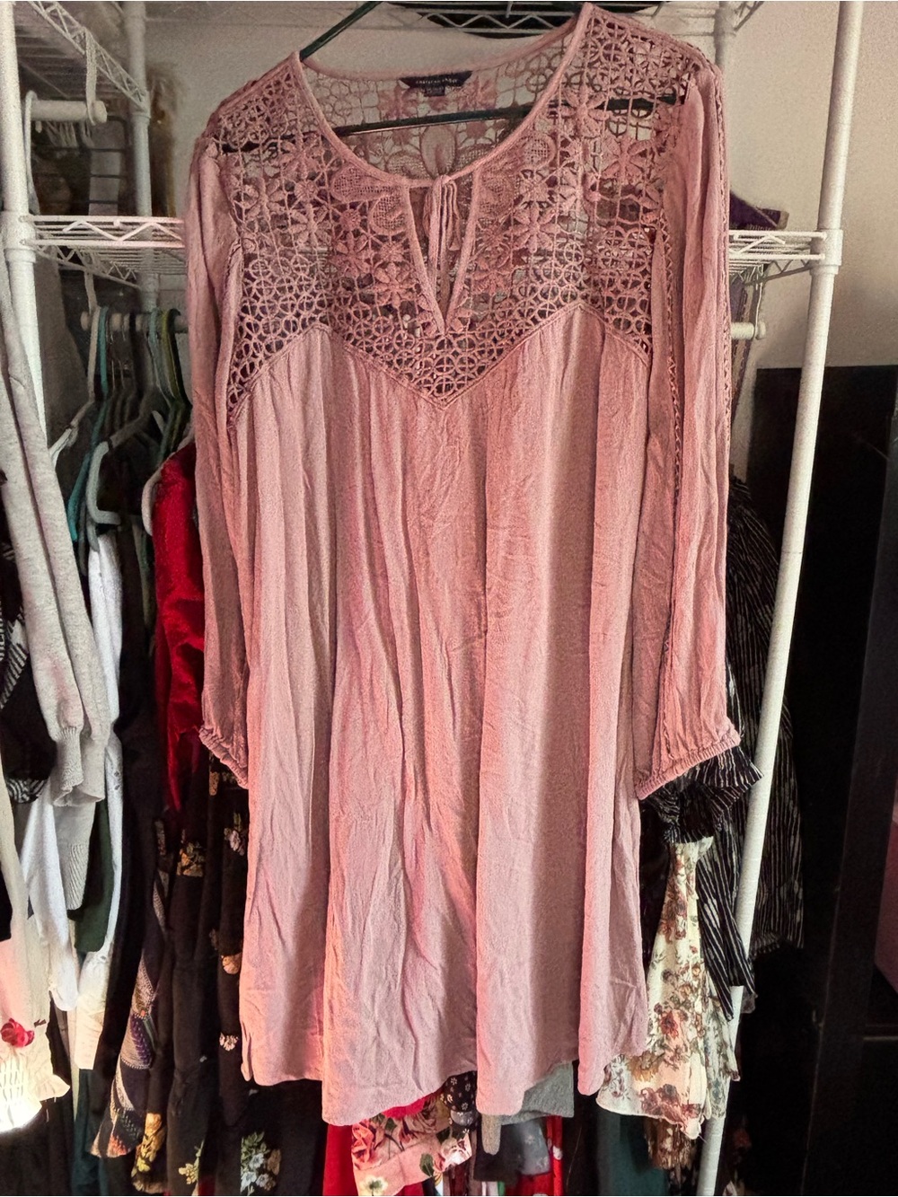 American Eagle Outfitters Dusty Pink Long Sleeve Crochet Yoke Dress